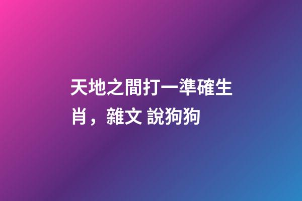 天地之間打一準確生肖，雜文 說狗狗